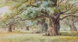 Sheep in a woodland by Ra Rsa Rsw George Henry, watercolour, offered Jun 2015