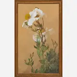Untitled painting (Matilija Poppies) by Albert R. Valentien for Rookwood Pottery, sold Sep 2018
