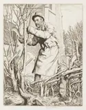 Stanley Anderson, The Hedger