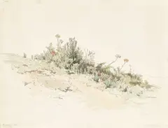Wiesenstück auf Capri by Friedrich Nerly d. Ä., 1831, Aquarell über Feder in Schwarz auf Papier, sold Jun 2022