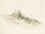 Wiesenstück auf Capri by Friedrich Nerly d. Ä., 1831, Aquarell über Feder in Schwarz auf Papier, sold Jun 2022