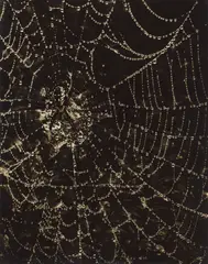 Drahomír Josef Růžička, Strings of Pearls, Um 1940, Vintage. SIlbergelatineabzug