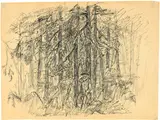 Paul Holz, Herbstwald. Der Nebel regnet in die Wipfel., Rohrfeder auf Ingres-Bütten