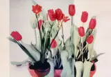 P20“ aus: „Nach der Natur (After Nature) by Rémy Markowitsch, 1993, Diasec, sold Jun 2013
