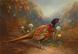 Raymond Cyril Watson, Cock pheasant, watercolour and bodycolour