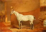 Gray hunter in a Loosebox by John Ferneley, oil on canvas, sold Jun 2015