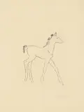 Laufendes Fohlen / Liegendes Fohlen by Renée Sintenis, 2 Blatt: Jeweils Kaltnadel auf Velin, sold Jan 2022