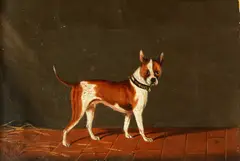 Brandy, a terrier by Henry Bernard Chalon, oil on canvas, sold Jun 2015