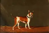 Henry Bernard Chalon, Brandy, a terrier, oil on canvas