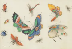 Anglo-Chinese School, Studies of Butterflies and insects, pen and ink, watercolour and bodycolour and metallic paint, each