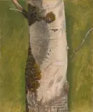 Christen Dalsgaard, Baumstamm. 1840er Jahre, Öl auf Papier, zweifach auf Leinwand aufgezogen