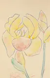 Gelbe Iris by Christian Rohlfs, 1932, Wassertempera und Buntstift auf glattem Papier, sold Dec 2018