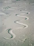 Andy Goldsworthy, Snow Drift, carved into, waiting for the Wind. Grise Fiord, Ellesmere Island, 12 April, 1989, C-Print