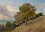 Baumgruppe auf einem Hügel an der Ostsee (unvollendet) by Deutsch, Dänisch, um 1830 & 40, Öl über Bleistift auf Papier auf Leinwand, sold Nov 2019