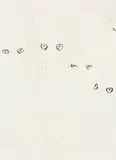 David Ostrowski, Und ihre Augen schauten Gott, 2009, Bleistift, Acryl, Lack und Grattage auf Karton