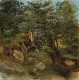 Österreichisch, um 1830 & 40, Waldstudie, Öl auf Papier, auf Leinwand aufgezogen