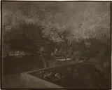 Im Zaubergarten by Josef Sudek, 1954, Vintage. Silbergelatine-Kontaktabzug, sold Jun 2016