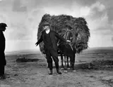 Irish Farmer carting hay by Dorothea Lange, 1955, Vintage. Silbergelatineabzug, sold Nov 2013