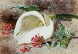 Still life of flowers; and companion by Helen Cordelia Angell, watercolour (a pair), offered Apr 2015
