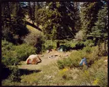 Jackson, Wyoming 9/2/79 by Stephen Shore, 1979, Vintage. C-Print, Kontaktabzug. Kodak-Papier, sold May 2014