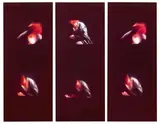 Das Mädchen wächst weiter by Ulrike Rosenbach, 1985, 3 Farbfotografien von 6 Videostills, jeweils auf Papier, sold Dec 2016