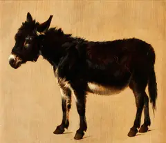 Ra Sir Edwin Henry Landseer, Study of a donkey, oil on paper laid down on board