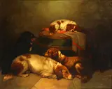 Four spaniels in an interior by George Armfield, oil on canvas, sold Apr 2015