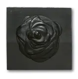 Dieter Roth, Schwarze Rose, 1969, Acryl auf schwarz gefasstem Tannenholz