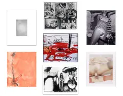 Printed Matter Photography Portfolio V: [Untitled/Nudes] Curated by Larry Clark by Mappenwerk, 2004, 8 (von 10) Blatt: 4 Silbergelatineabzüge, 3 C-Prints und ein Monoprint, jeweils auf Papier, von unterschiedlichen Künstl, sold Sep 2026