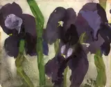 Schwertlilien by Klaus Fußmann, 1987, Aquarell auf dünnem Bütten, sold Jun 2010