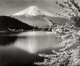 Ohne Titel (Fujiyama, Kirschblüte). 1950er Jahre by Kōyō Okada, Vintage. Silbergelatineabzug, sold Nov 2010