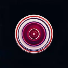 Hanakam & Schuller, Kokomo 8, 2012, C-print on aluminium; framed