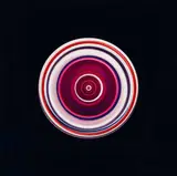 Kokomo 8 by Hanakam & Schuller, 2012, C-print on aluminium; framed, sold Oct 2026