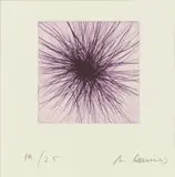 Neststern by Arnulf Rainer, etching on paper; framed, sold Oct 2026