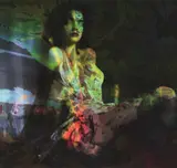 Mortal Systems, Flowersuites No 2 by Jeanne Szilit, 2015, C-Print, acrylic on aludibond; unframed, sold Oct 2026