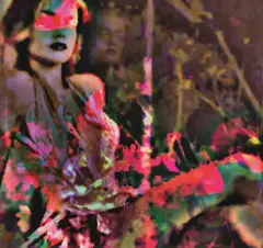 Jeanne Szilit, Mortal Systems, Flowersuites No. 9, 2015, C-Print, acrylic on aludibond; unframed