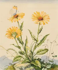 Alfred Bareis, Meadow Flowers with a Butterfly, watercolour on paper; framed