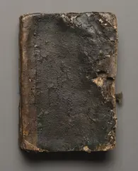 Arrzenney Piechl, Arrzenney Piechl / In Wellichen die aller / fornembiste Mitl / Zu finden seindt / Vir aller hand Zue / standt deß Menschen / Von Einem fornemb / en Dockhter dem ... / Kainß gleichen geb ... yst ./. Disses  ... / geherdt den ... / achten Ruepperdt / Turner So lang / gott Will / Nottäbennä