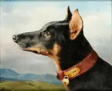 Head study of a Doberman by Carl Reichert, oil on panel,, sold Feb 2015