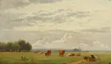 Cattle grazing in a field by English School, late 19th Century, oil on canvas, sold Feb 2015