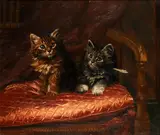 Wilson Hepple, Kittens, oil on canvas