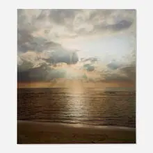 Untitled (Currently Represented) by Jason Lazarus, 2005, archival color print, sold Aug 2023