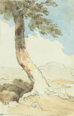 Study of a tree by George Chinnery Rha, watercolour, offered Feb 2015