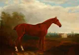 A Chestnut hunter before a parkland view by English School, oil on canvas, sold Feb 2015