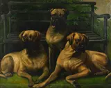 Three mastiffs by English School, oil on canvas, sold Dec 2015