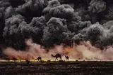 Kuwait“ (Camels in Oil Fire) by Steve McCurry, 1991, Cibachrome-Abzug, 2006, sold Jun 2010