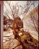 Backyard Off U.S. 98. Apalachacola, Florida by Stephen Shore, 1976, Vintage. C-Print, Kontaktabzug. Kodak-Papier, sold May 2011