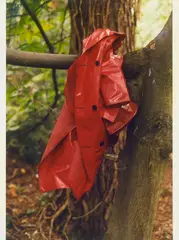 red coat by Wolfgang Tillmans, 1992, C-Print, sold Mar 2026