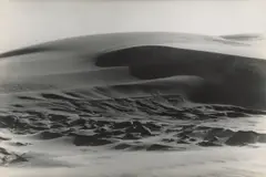 Aus der Serie „Kurische Nehrung by Alfred Ehrhardt, 1934, Vintage. Silbergelatineabzug, sold Oct 2025