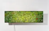 SPRING NO. 3 by Hiroyuki Masuyama, 2003, Leuchtkasten, sold Jan 2022